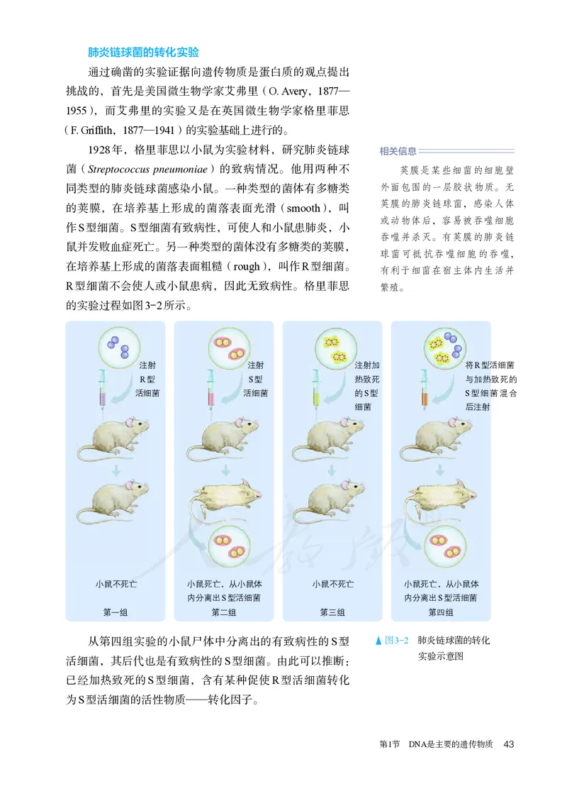 高中必修二生物_教资初高中_教资面试2025教资面试备考资料合集_教资面试资料合集_3、教资面试资料包大全_45大圣中小幼面试资料包_高中_生物_高中生物电子课本