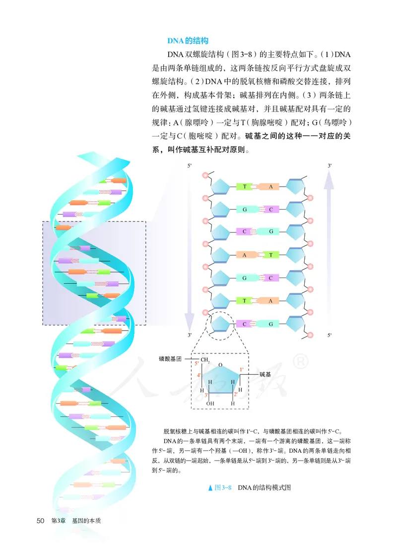 高中必修二生物_教资初高中_教资面试2025教资面试备考资料合集_教资面试资料合集_3、教资面试资料包大全_45大圣中小幼面试资料包_高中_生物_高中生物电子课本