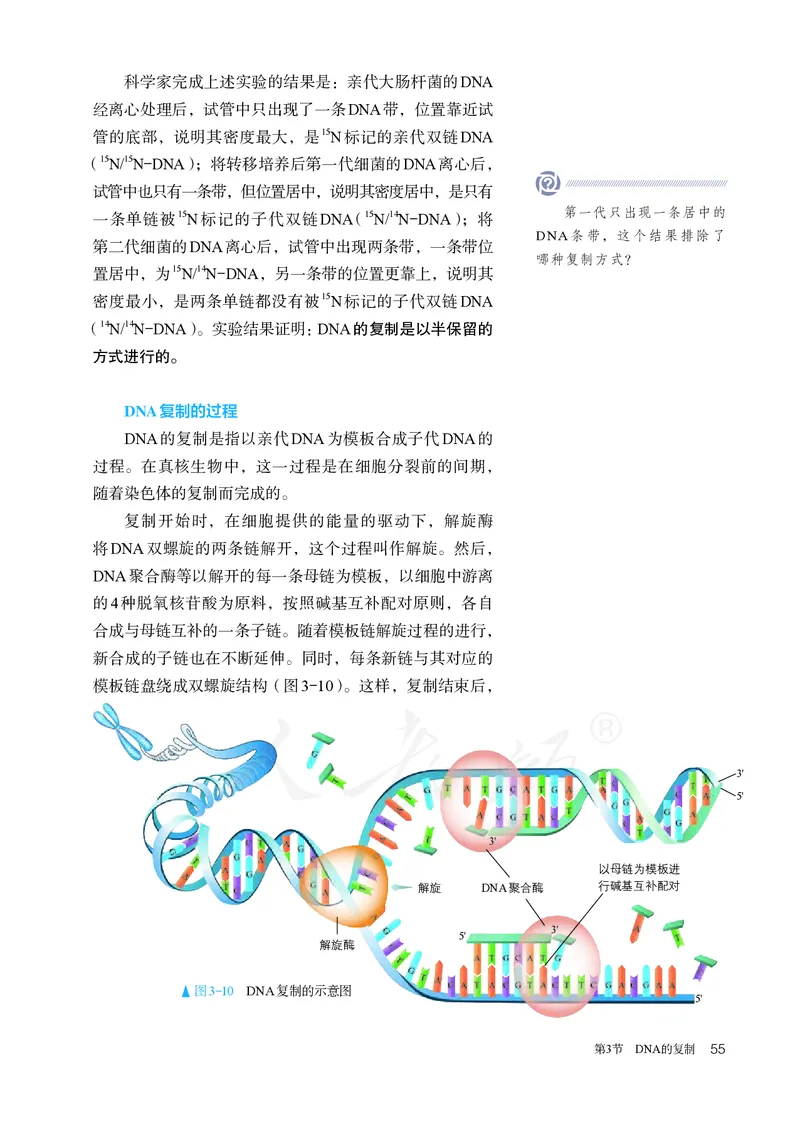 高中必修二生物_教资初高中_教资面试2025教资面试备考资料合集_教资面试资料合集_3、教资面试资料包大全_45大圣中小幼面试资料包_高中_生物_高中生物电子课本