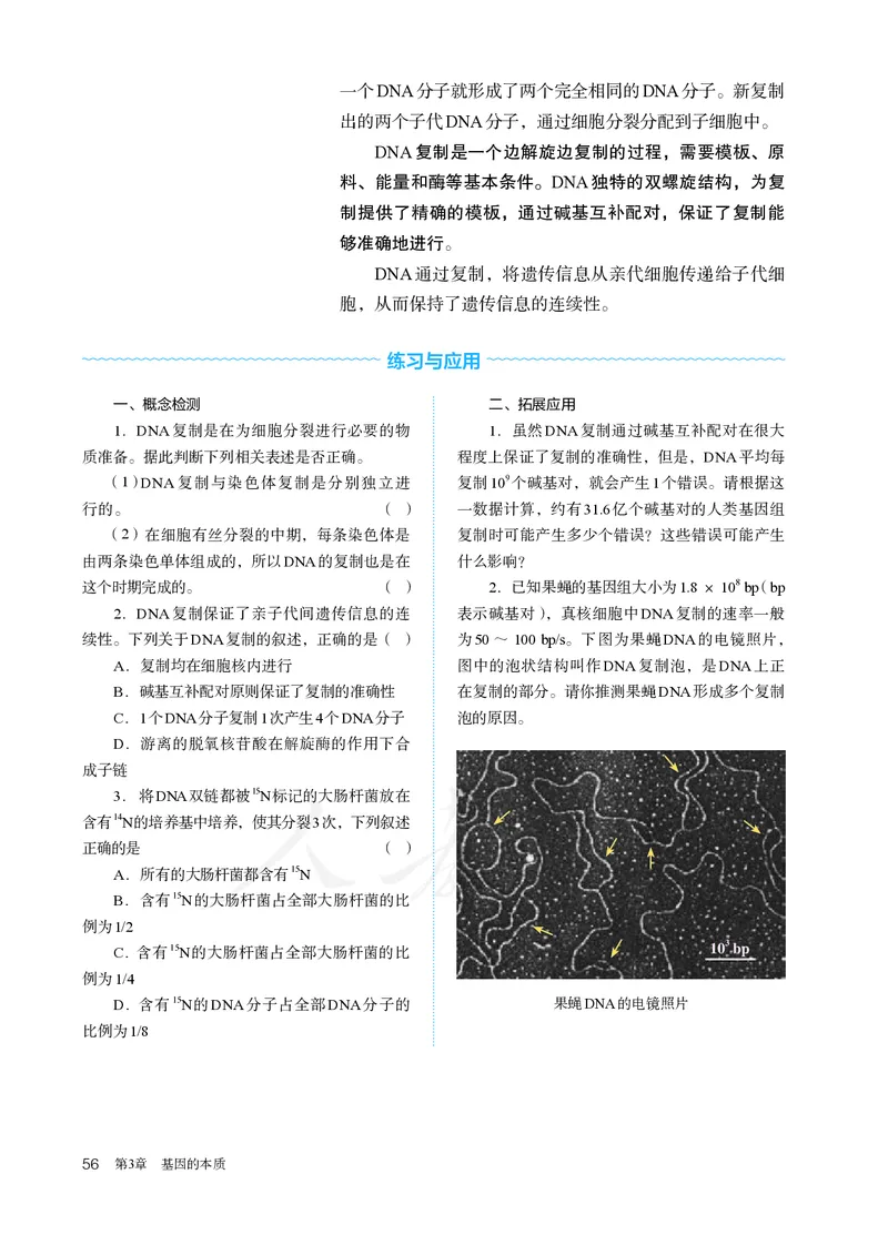 高中必修二生物_教资初高中_教资面试2025教资面试备考资料合集_教资面试资料合集_3、教资面试资料包大全_45大圣中小幼面试资料包_高中_生物_高中生物电子课本