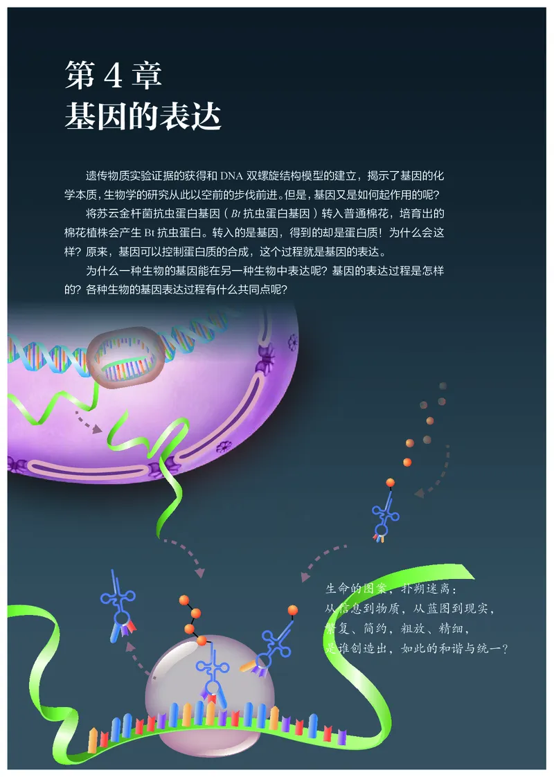 高中必修二生物_教资初高中_教资面试2025教资面试备考资料合集_教资面试资料合集_3、教资面试资料包大全_45大圣中小幼面试资料包_高中_生物_高中生物电子课本
