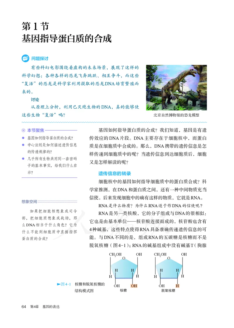 高中必修二生物_教资初高中_教资面试2025教资面试备考资料合集_教资面试资料合集_3、教资面试资料包大全_45大圣中小幼面试资料包_高中_生物_高中生物电子课本