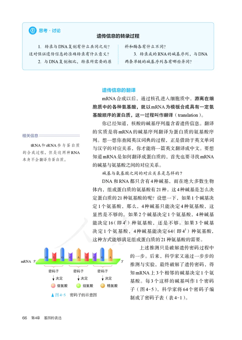 高中必修二生物_教资初高中_教资面试2025教资面试备考资料合集_教资面试资料合集_3、教资面试资料包大全_45大圣中小幼面试资料包_高中_生物_高中生物电子课本