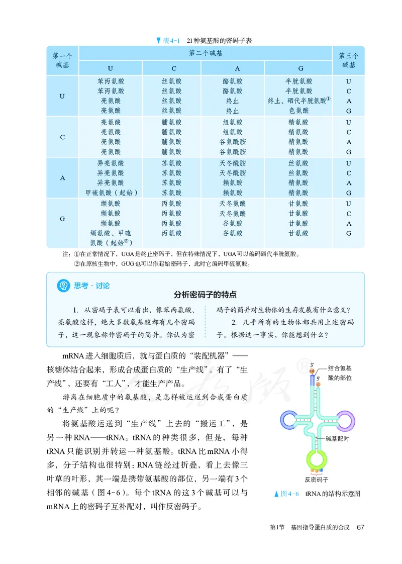 高中必修二生物_教资初高中_教资面试2025教资面试备考资料合集_教资面试资料合集_3、教资面试资料包大全_45大圣中小幼面试资料包_高中_生物_高中生物电子课本