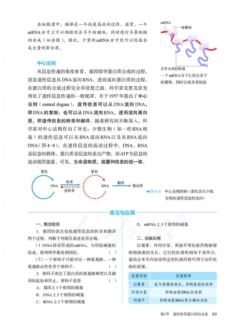 高中必修二生物_教资初高中_教资面试2025教资面试备考资料合集_教资面试资料合集_3、教资面试资料包大全_45大圣中小幼面试资料包_高中_生物_高中生物电子课本
