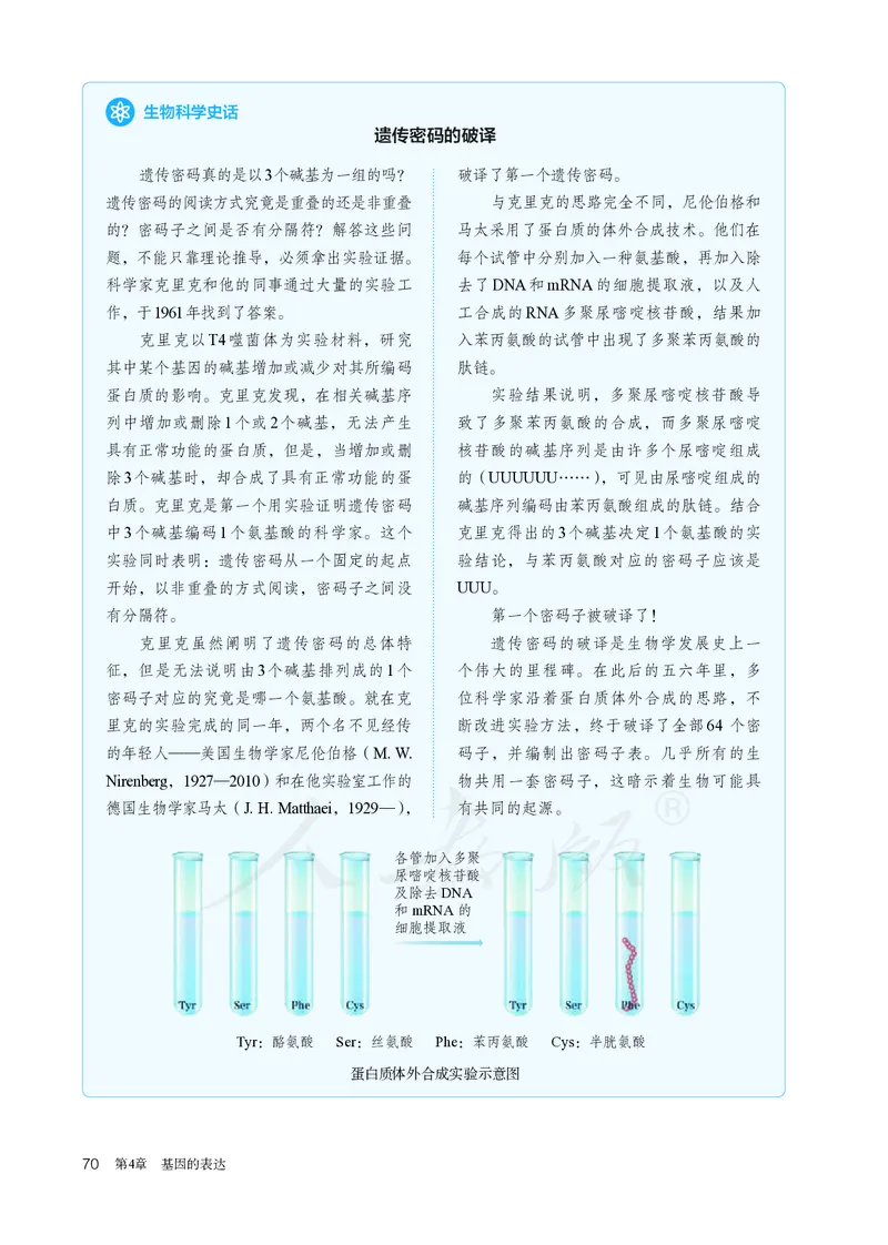 高中必修二生物_教资初高中_教资面试2025教资面试备考资料合集_教资面试资料合集_3、教资面试资料包大全_45大圣中小幼面试资料包_高中_生物_高中生物电子课本