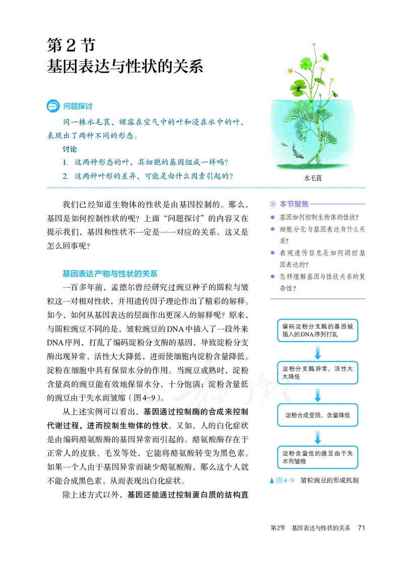 高中必修二生物_教资初高中_教资面试2025教资面试备考资料合集_教资面试资料合集_3、教资面试资料包大全_45大圣中小幼面试资料包_高中_生物_高中生物电子课本