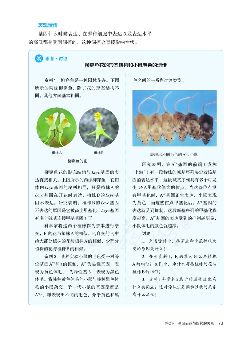 高中必修二生物_教资初高中_教资面试2025教资面试备考资料合集_教资面试资料合集_3、教资面试资料包大全_45大圣中小幼面试资料包_高中_生物_高中生物电子课本
