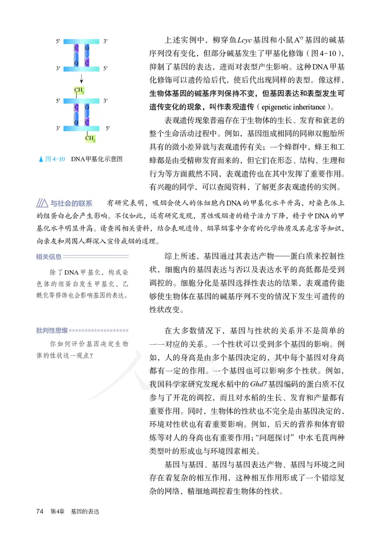 高中必修二生物_教资初高中_教资面试2025教资面试备考资料合集_教资面试资料合集_3、教资面试资料包大全_45大圣中小幼面试资料包_高中_生物_高中生物电子课本