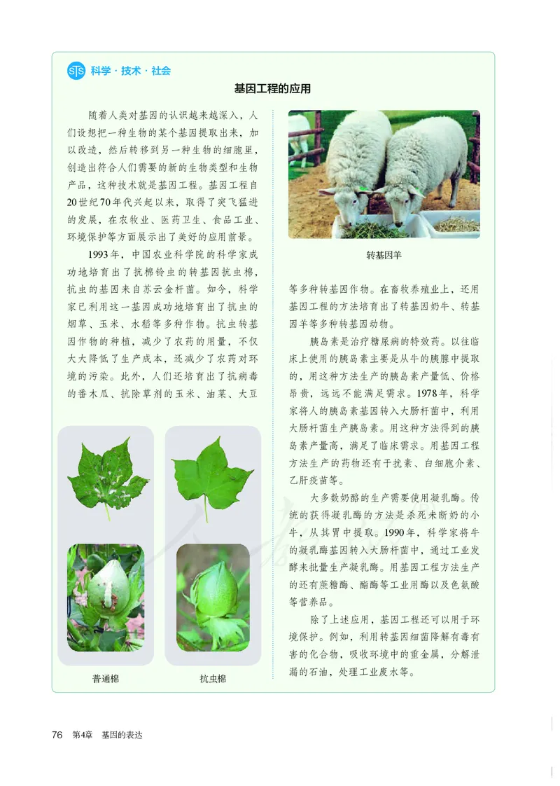 高中必修二生物_教资初高中_教资面试2025教资面试备考资料合集_教资面试资料合集_3、教资面试资料包大全_45大圣中小幼面试资料包_高中_生物_高中生物电子课本