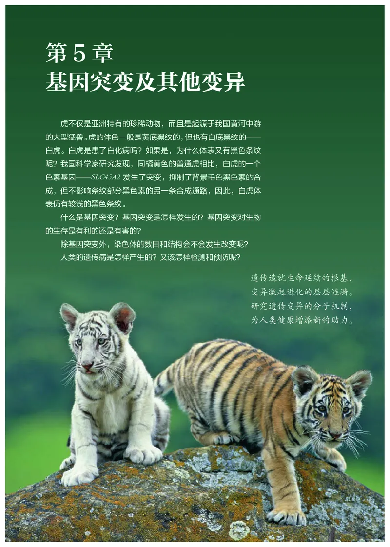 高中必修二生物_教资初高中_教资面试2025教资面试备考资料合集_教资面试资料合集_3、教资面试资料包大全_45大圣中小幼面试资料包_高中_生物_高中生物电子课本
