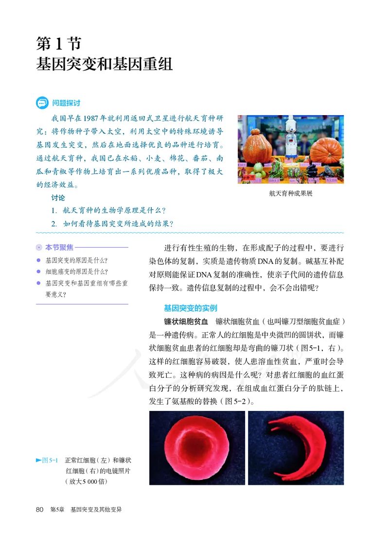 高中必修二生物_教资初高中_教资面试2025教资面试备考资料合集_教资面试资料合集_3、教资面试资料包大全_45大圣中小幼面试资料包_高中_生物_高中生物电子课本