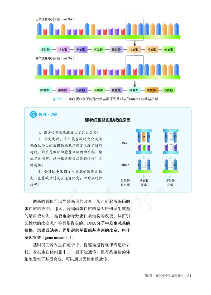 高中必修二生物_教资初高中_教资面试2025教资面试备考资料合集_教资面试资料合集_3、教资面试资料包大全_45大圣中小幼面试资料包_高中_生物_高中生物电子课本