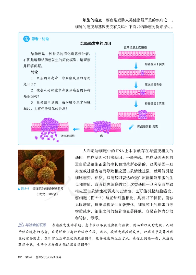 高中必修二生物_教资初高中_教资面试2025教资面试备考资料合集_教资面试资料合集_3、教资面试资料包大全_45大圣中小幼面试资料包_高中_生物_高中生物电子课本
