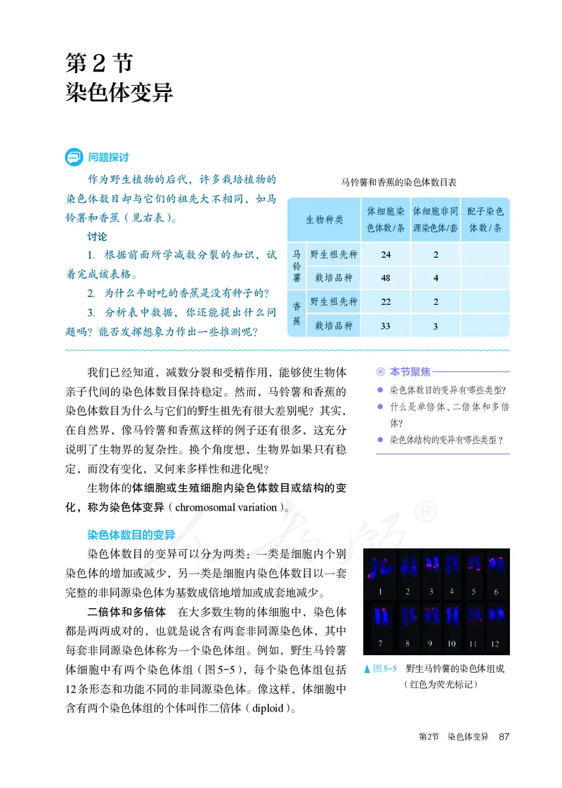 高中必修二生物_教资初高中_教资面试2025教资面试备考资料合集_教资面试资料合集_3、教资面试资料包大全_45大圣中小幼面试资料包_高中_生物_高中生物电子课本