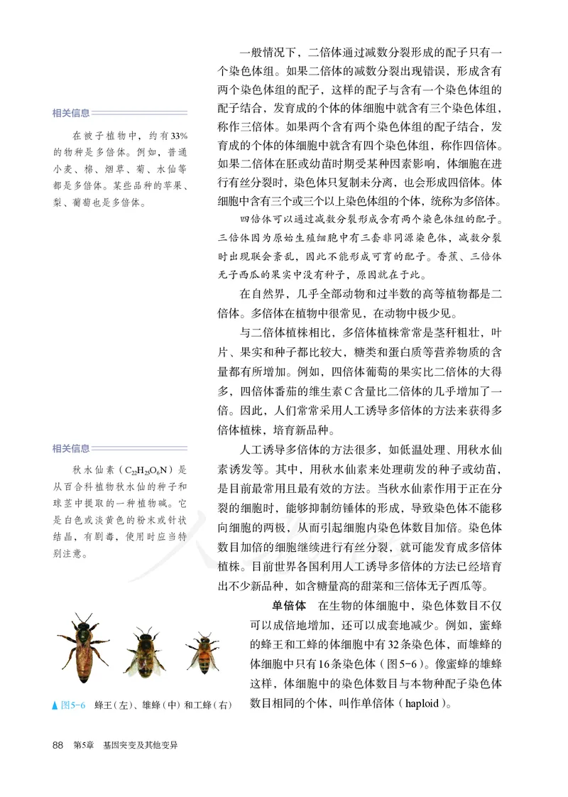 高中必修二生物_教资初高中_教资面试2025教资面试备考资料合集_教资面试资料合集_3、教资面试资料包大全_45大圣中小幼面试资料包_高中_生物_高中生物电子课本
