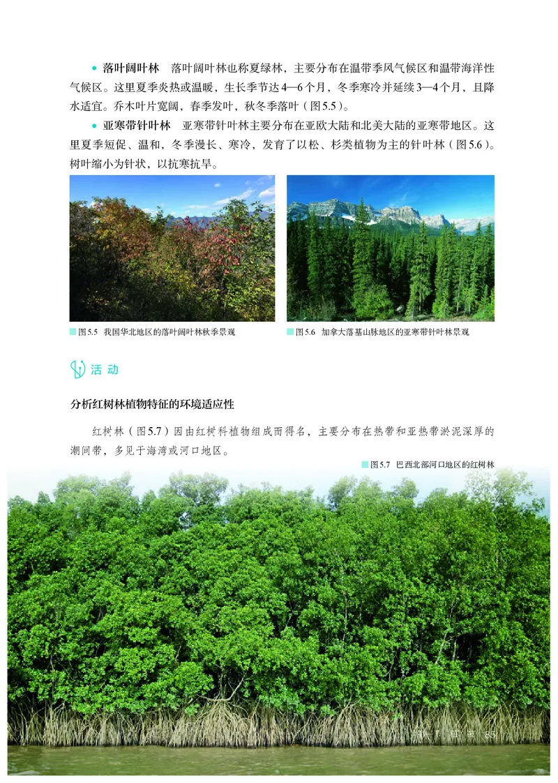 高中必修1地理_教资初高中_教资面试2025教资面试备考资料合集_教资面试资料合集_3、教资面试资料包大全_45大圣中小幼面试资料包_高中_地理_高中地理电子课本