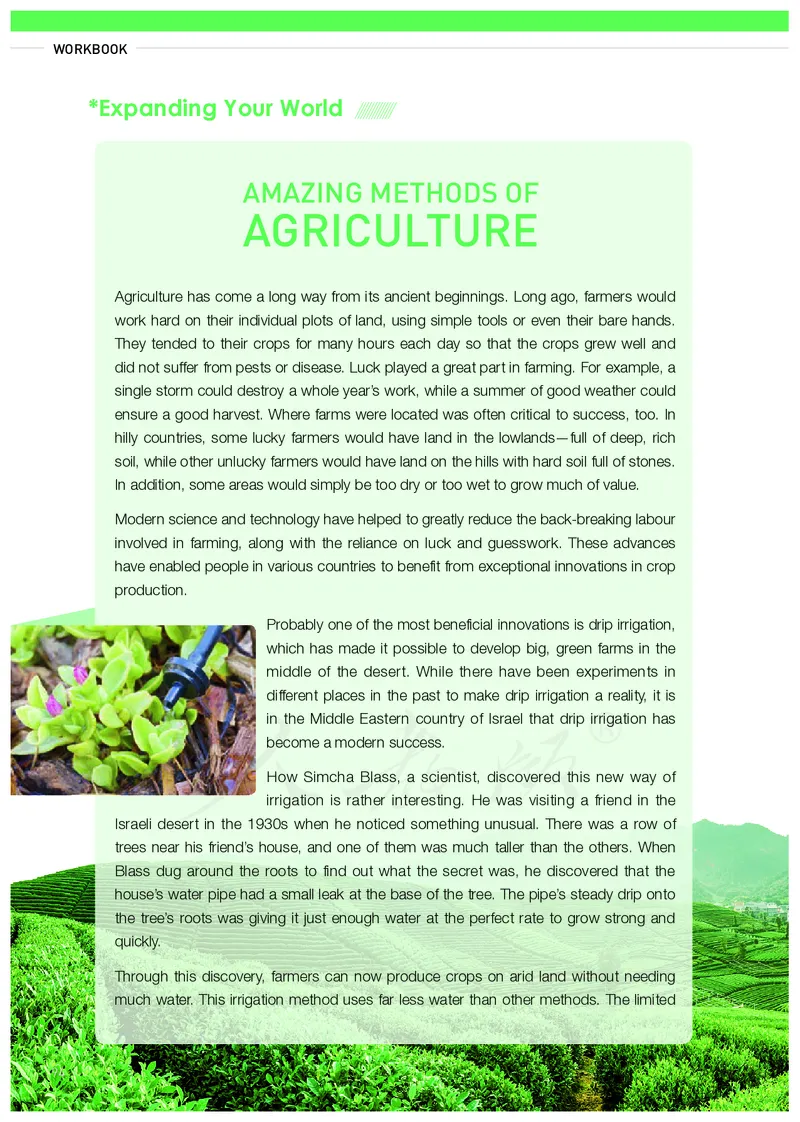 高中选修一英语_教资初高中_教资面试2025教资面试备考资料合集_教资面试资料合集_3、教资面试资料包大全_45大圣中小幼面试资料包_高中_英语_高中英语电子课本