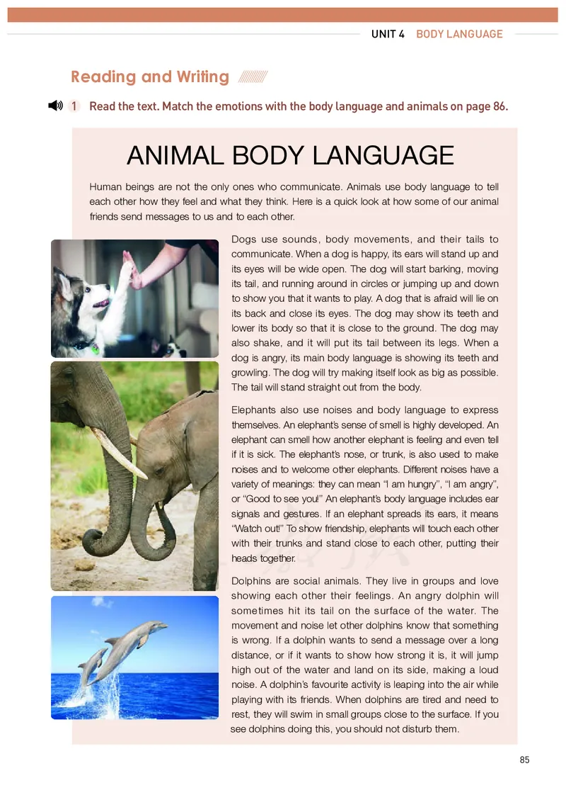 高中选修一英语_教资初高中_教资面试2025教资面试备考资料合集_教资面试资料合集_3、教资面试资料包大全_45大圣中小幼面试资料包_高中_英语_高中英语电子课本