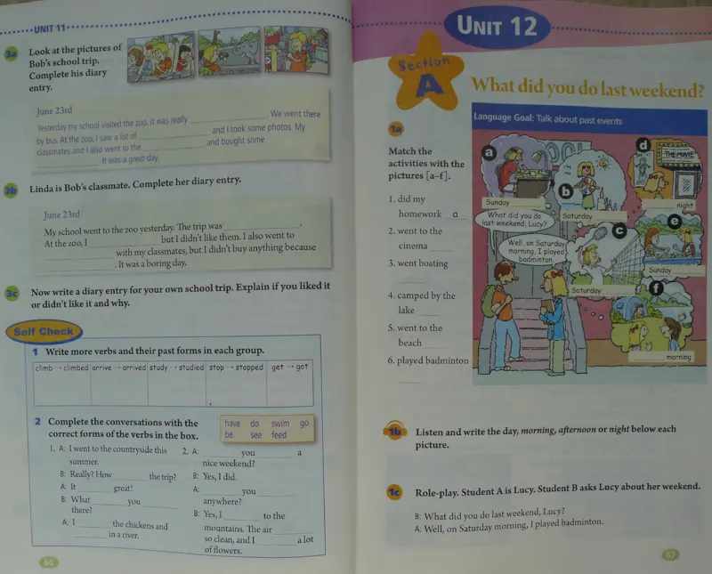 新版英语七下(1)_教资初高中_教资面试2025教资面试备考资料合集_教资面试资料合集_2025教资面试资料_25上教资面试-小学资料包_20教材：全册_初中_初中英语_初中英语-人教版