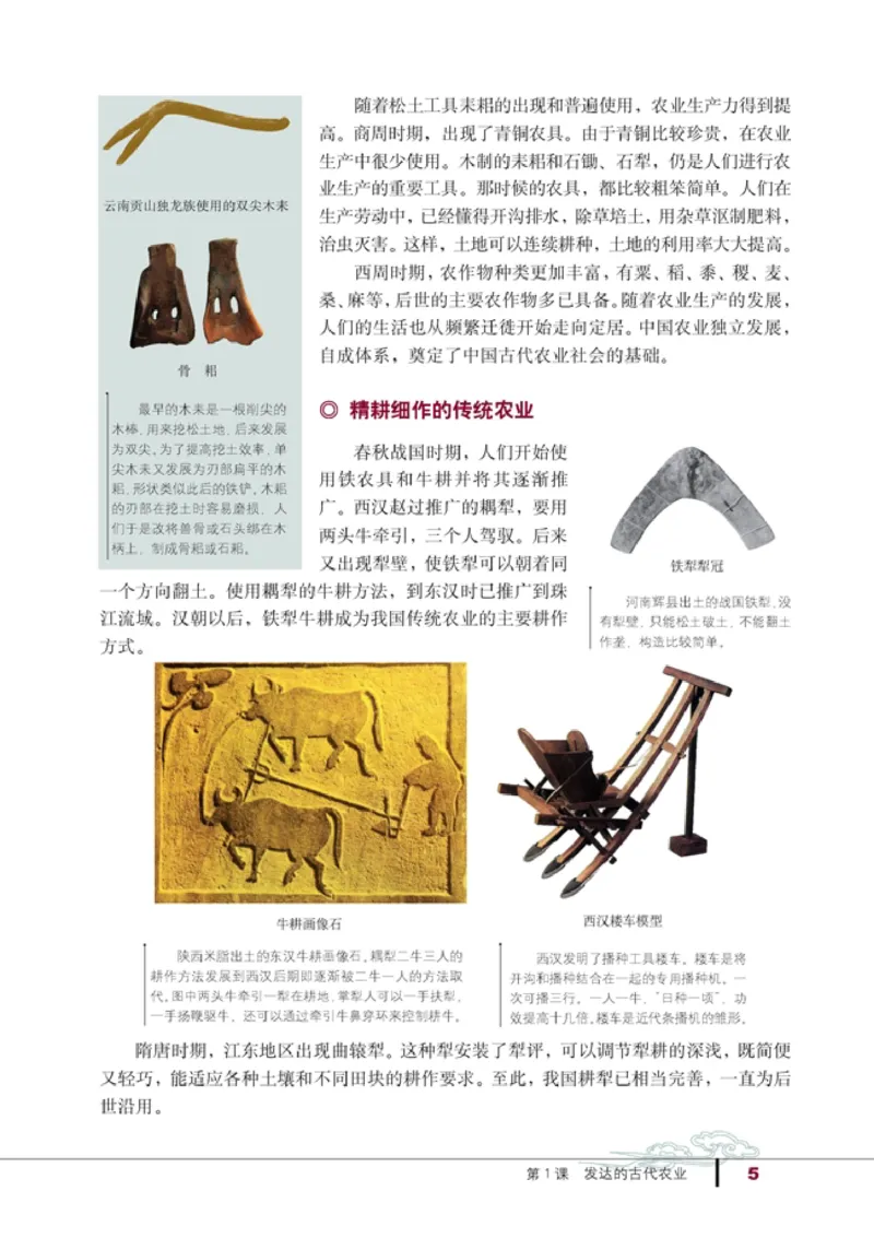 高中历史必修2(1)_教资初高中_教资面试2025教资面试备考资料合集_教资面试资料合集_2025教资面试资料_25上教资面试-小学资料包_20教材：全册_高中_高中历史