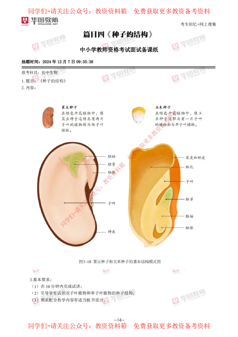 生物_教资初高中_教资面试2025教资面试备考资料合集_教资面试资料合集_4、教资面试真题汇总_2024下半年教资面试真题_华图试讲解析版