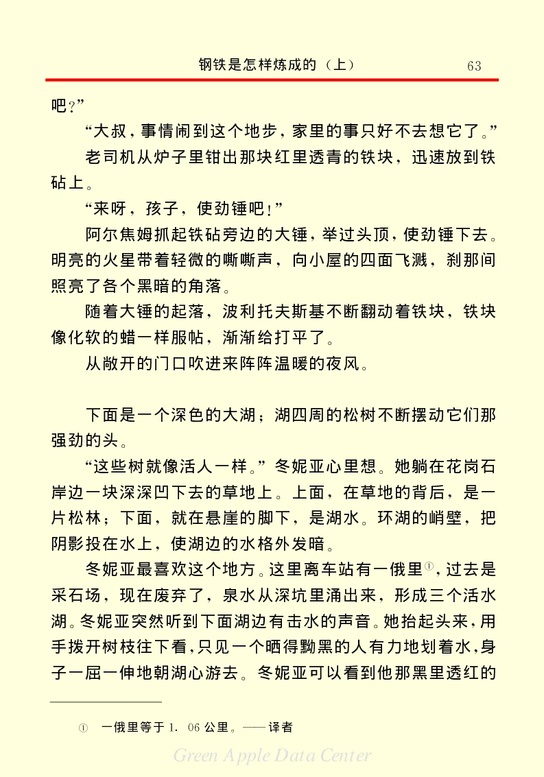 世界名著钢铁是怎样炼成的1_高中语文上册_语文赠品_编号06：语文高中：语文课外阅读之世界名著pdf(32份)