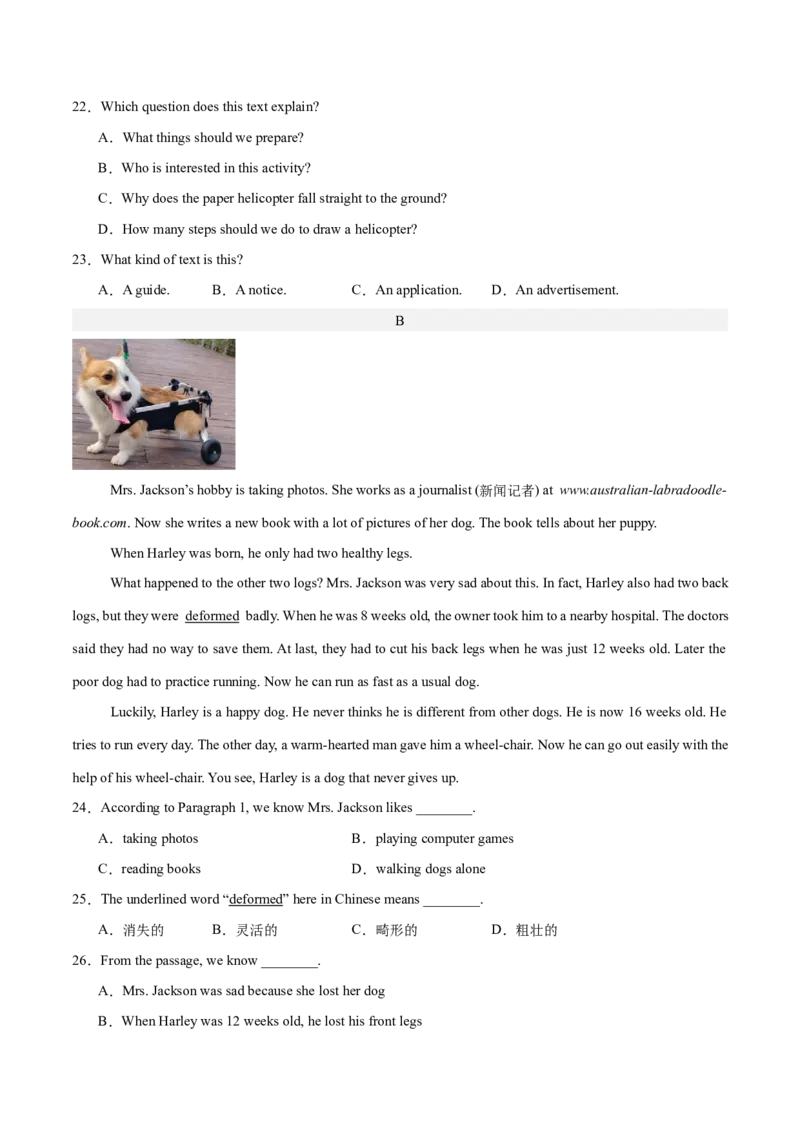 Unit9Haveyoueverbeentoamuseum？（单元卷&middot;测试卷）（学生版）_新人教八下资料包_00、更新资料3月16日_单元知识复习专项-U122_2025版