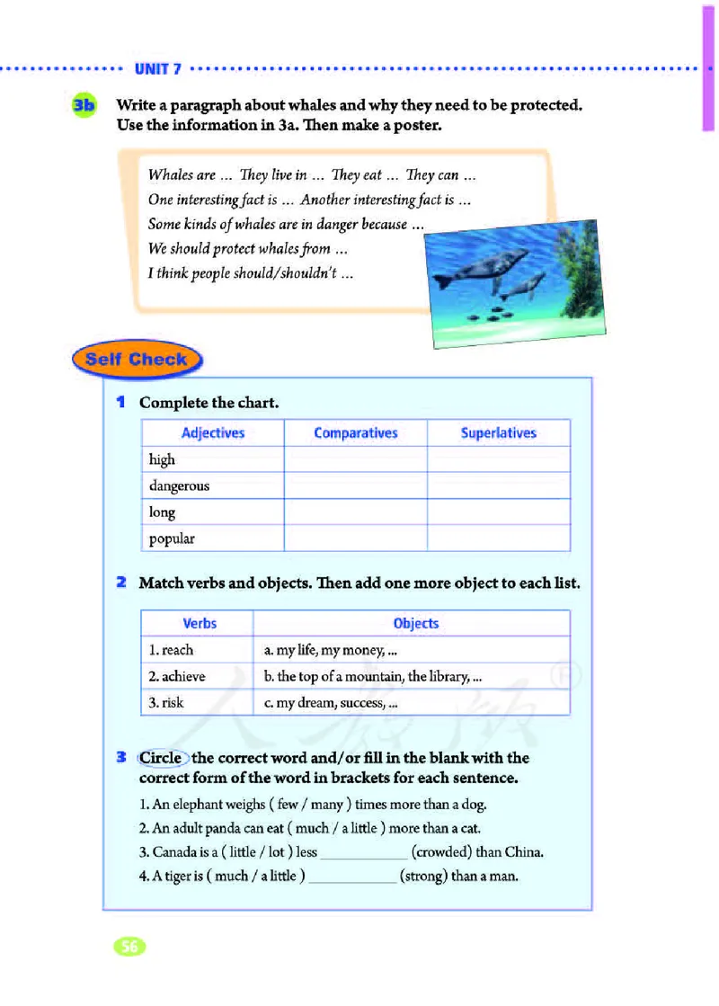 人教版8年级英语下册_新人教八下资料包_35赠送其它_八年级英语下册（人教版）