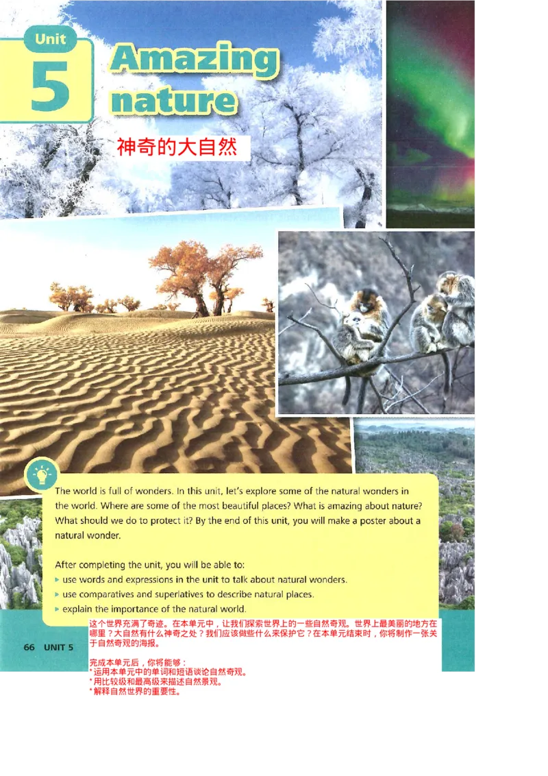 2025年春新外研版七年级英语下册Unit5Amazingnature教材完全解读（注释+答案）PDF电子书版_七下外研版2026英语_2026春版本一_新外研英语7下_2025春外研七下：自学包