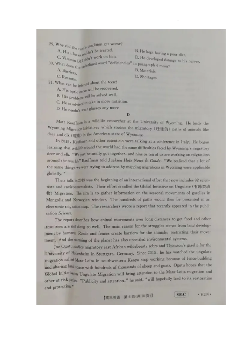 英语试题_3.2025英语总复习_2023年新高考资料_3英语高考模拟题_新高考_湖南金太阳23届高三8月联考（801C）英语_湖南金太阳23届高三8月联考（801C）英语