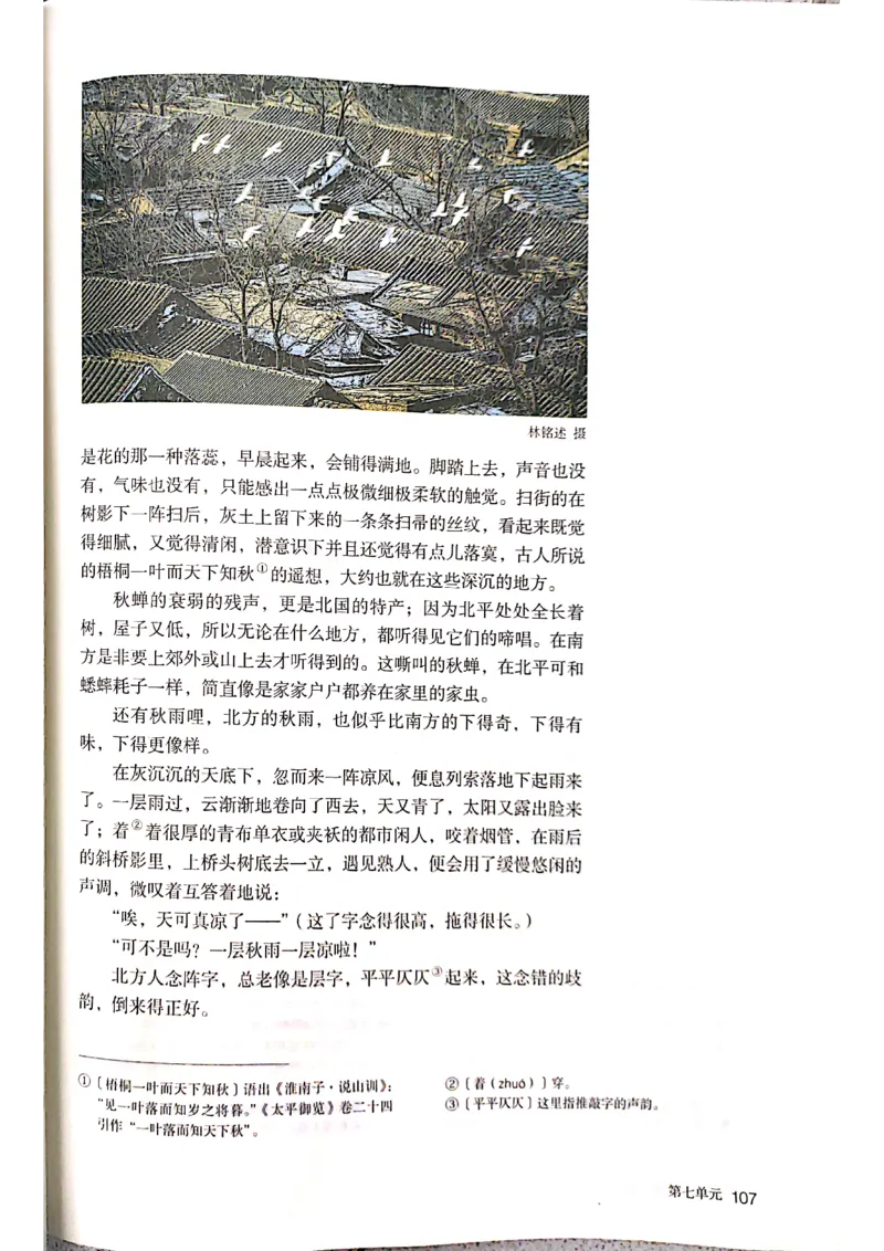 新教材高中语文必修上册彩色版_高中语文上册