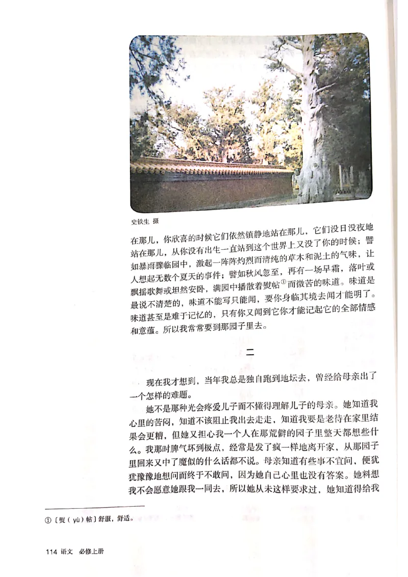 新教材高中语文必修上册彩色版_高中语文上册