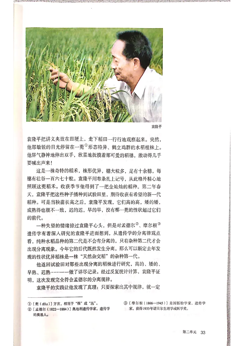 新教材高中语文必修上册彩色版_高中语文上册