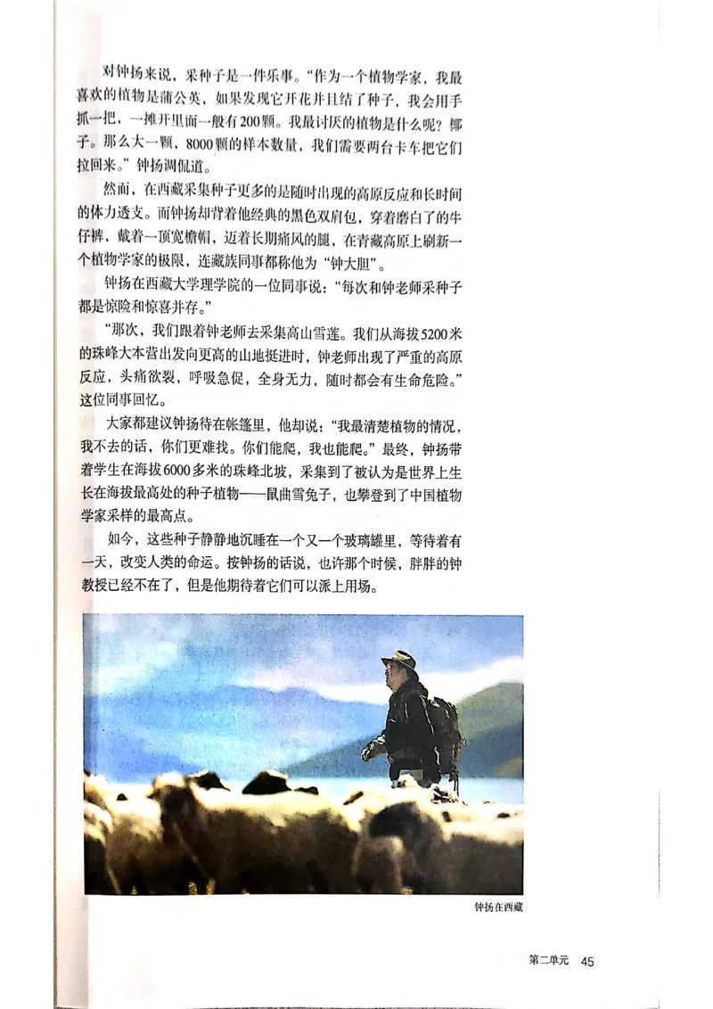 新教材高中语文必修上册彩色版_高中语文上册