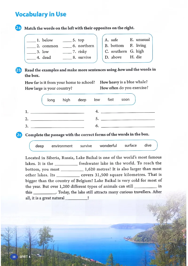 2026春人教版八年级英语下册（参考版）_新人教八下资料包_03高清PDF（核对版本）