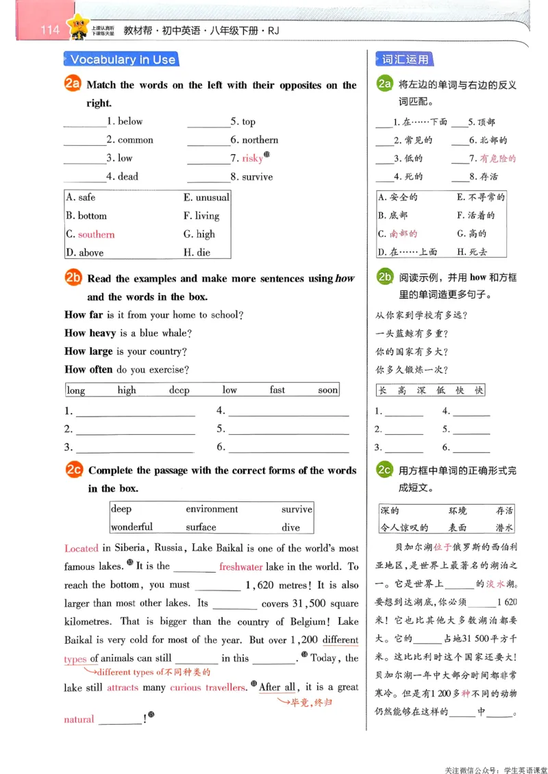 教材帮主书_新人教八下资料包_23多套教辅合集_2026春初中英语7-9年级下册《新教材帮＋练习帮》含答案（人教版）_26春教材帮八下人教版英语