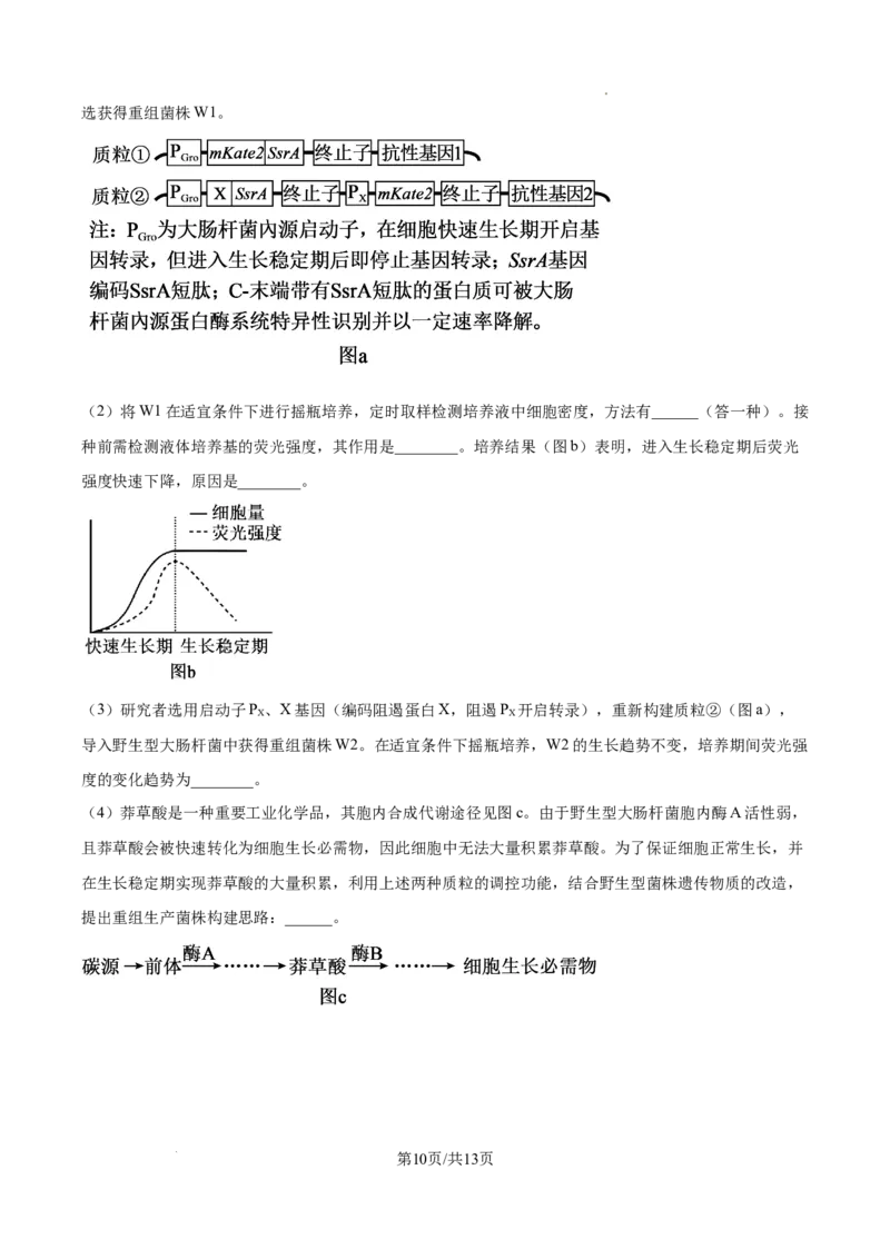 2025年广东省高考生物真题_2025年全国各省市全科高考真题及答案_版本一（先看这个版本，版本二补充）_广东卷（完结）_生物