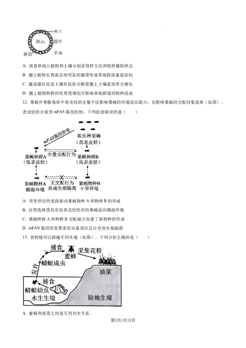 2025年广东省高考生物真题_2025年全国各省市全科高考真题及答案_版本一（先看这个版本，版本二补充）_广东卷（完结）_生物