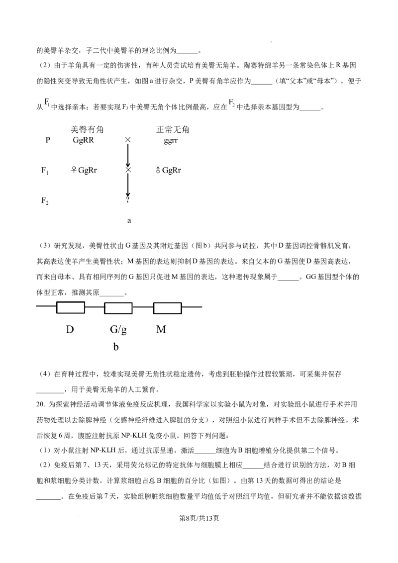 2025年广东省高考生物真题_2025年全国各省市全科高考真题及答案_版本一（先看这个版本，版本二补充）_广东卷（完结）_生物