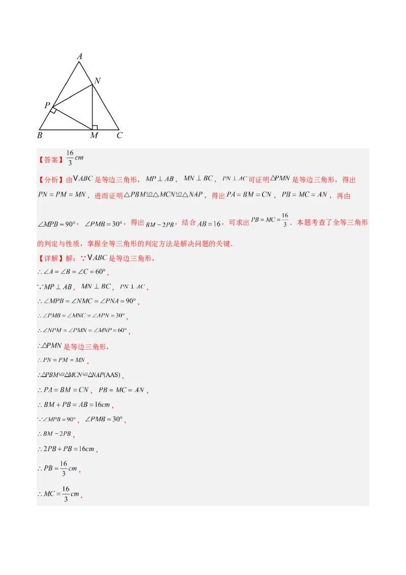 专题03等腰三角形的判定与性质重难点题型专训（16大题型+15道拓展培优）（教师版）_初中数学_八年级数学上册（人教版）_重难点专题提升-V7_2025版