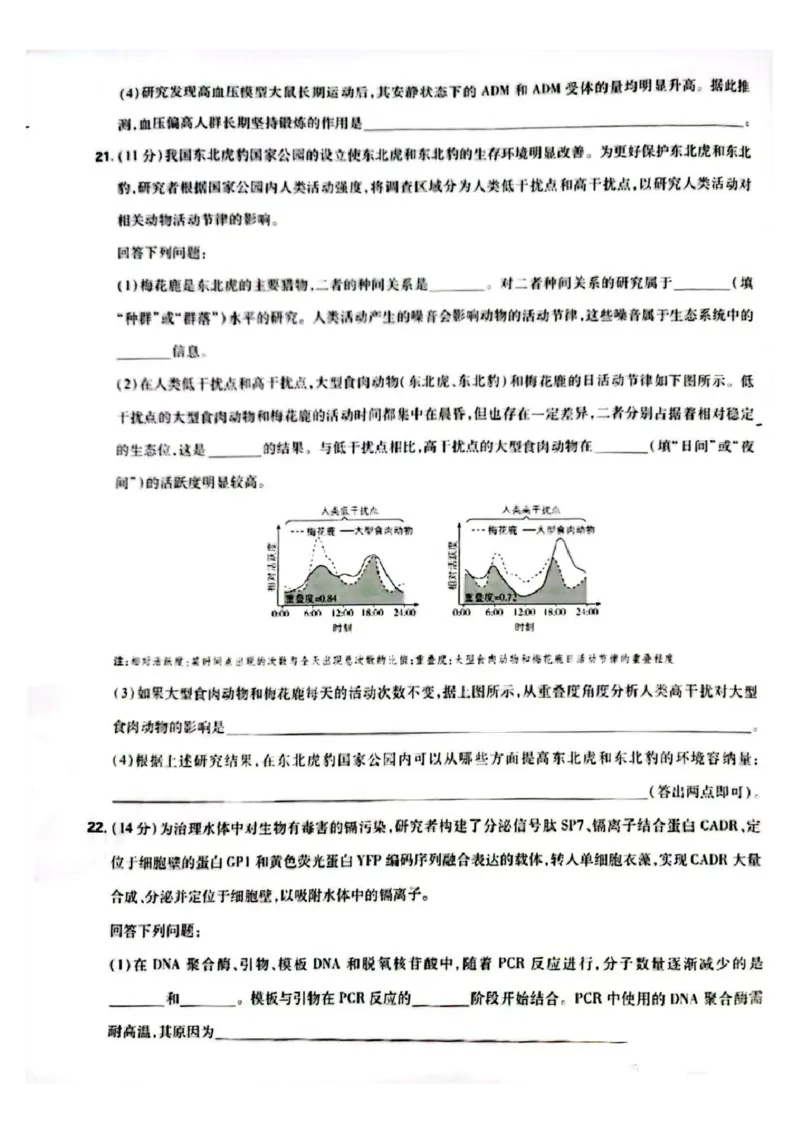 2025河北高考生物试题_2025年全国各省市全科高考真题及答案_版本二（互相补充）_6、各省市全科真题及答案（按省份分类）_11、河北卷（全科，持续更新）_生物