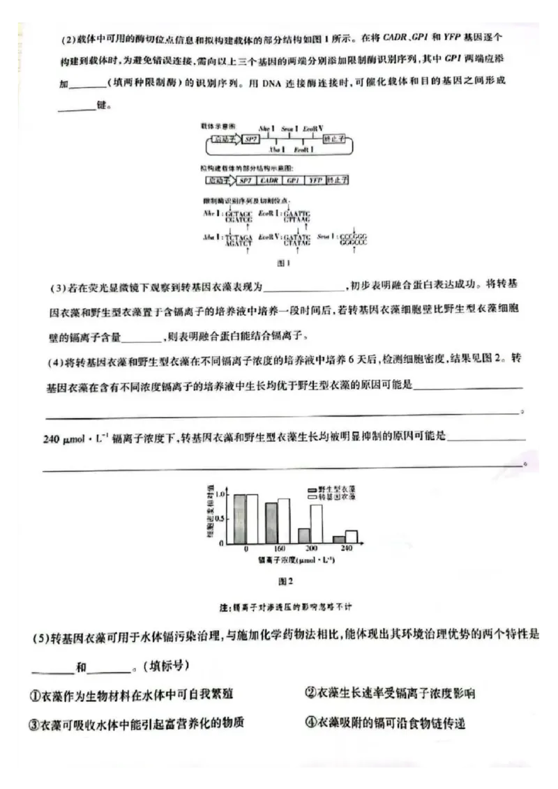 2025河北高考生物试题_2025年全国各省市全科高考真题及答案_版本二（互相补充）_6、各省市全科真题及答案（按省份分类）_11、河北卷（全科，持续更新）_生物