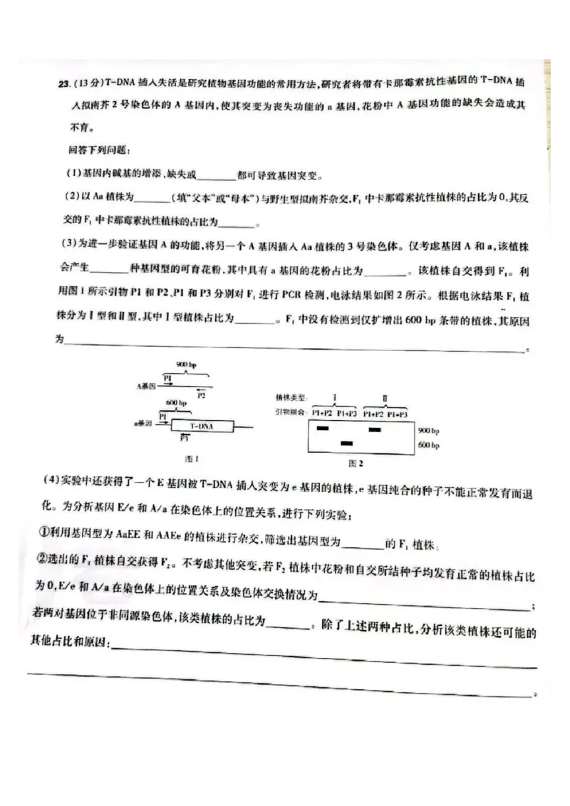 2025河北高考生物试题_2025年全国各省市全科高考真题及答案_版本二（互相补充）_6、各省市全科真题及答案（按省份分类）_11、河北卷（全科，持续更新）_生物