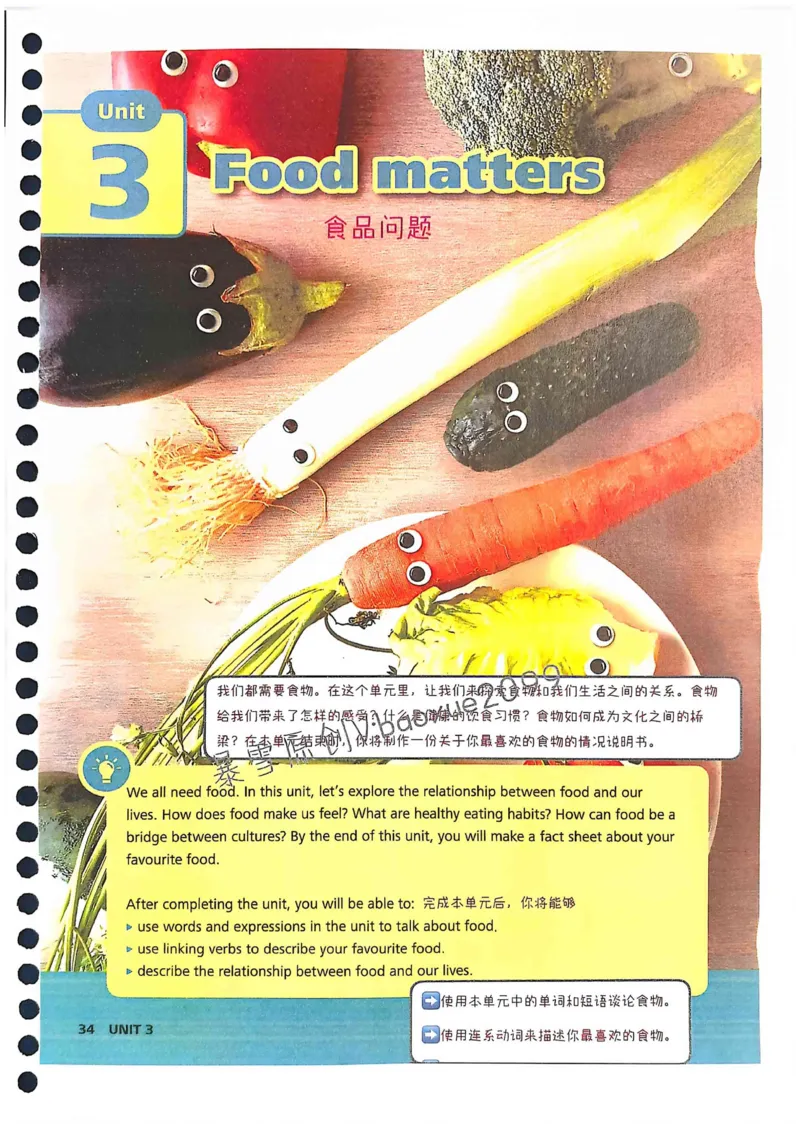 外研社七下课堂笔记_七下外研版2026英语_2025春_7、课堂笔记