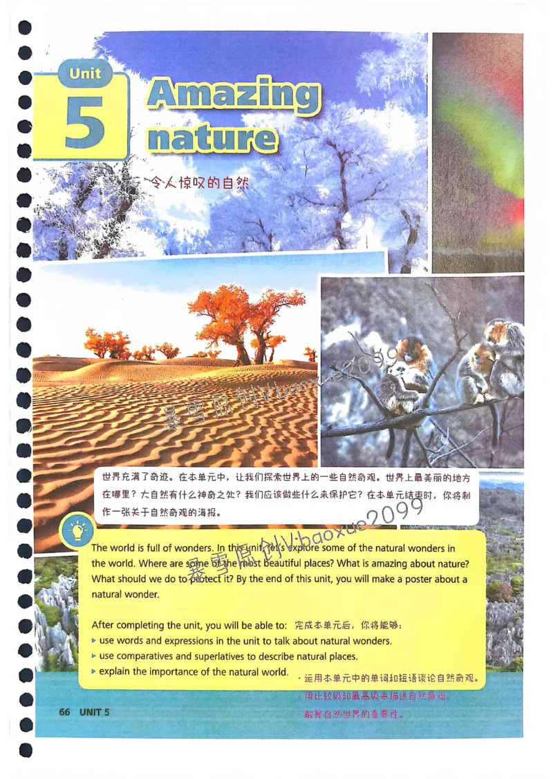 外研社七下课堂笔记_七下外研版2026英语_2025春_7、课堂笔记