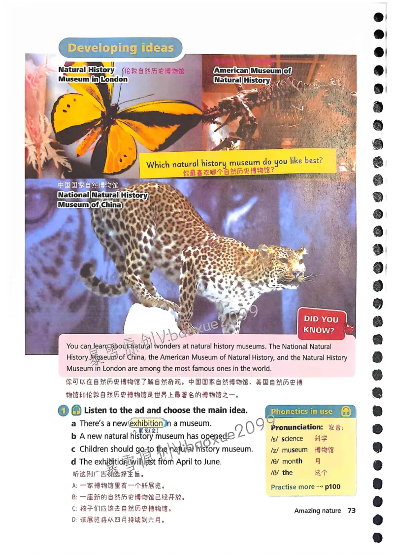 外研社七下课堂笔记_七下外研版2026英语_2025春_7、课堂笔记