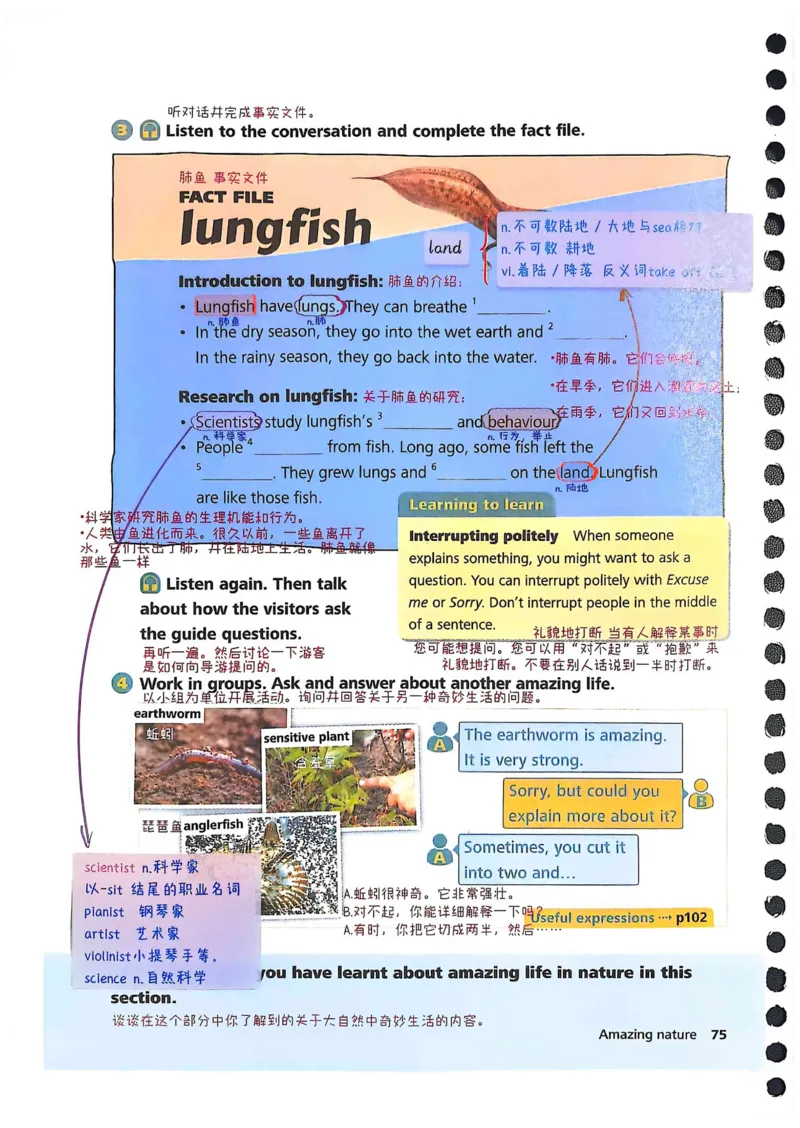 外研社七下课堂笔记_七下外研版2026英语_2025春_7、课堂笔记