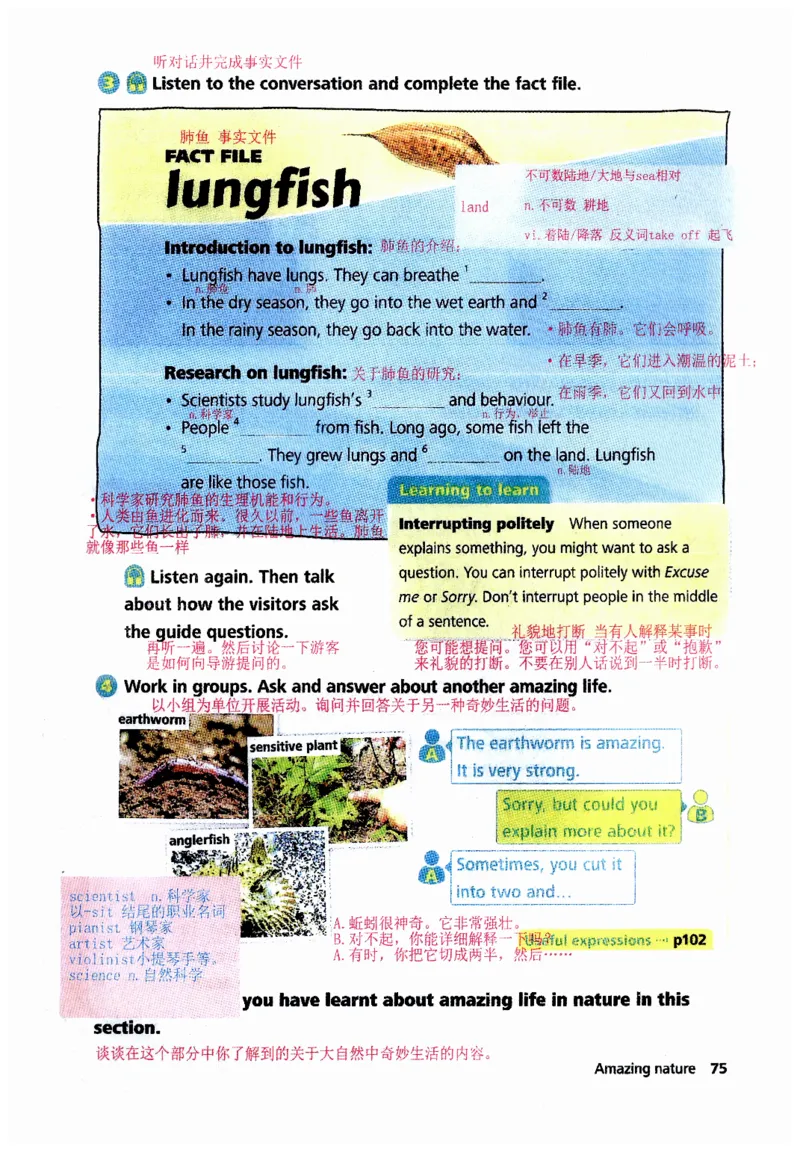 新版课堂笔记+单词笔记第二套无水印_七下外研版2026英语_2025春_7、课堂笔记