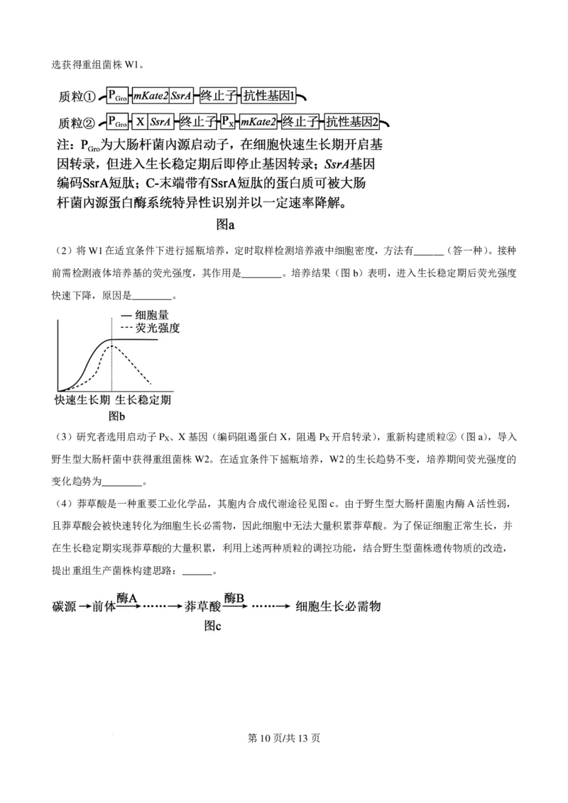 2025年广东省高考生物真题_2025年全国各省市全科高考真题及答案_版本一（先看这个版本，版本二补充）_广东卷（完结）_生物